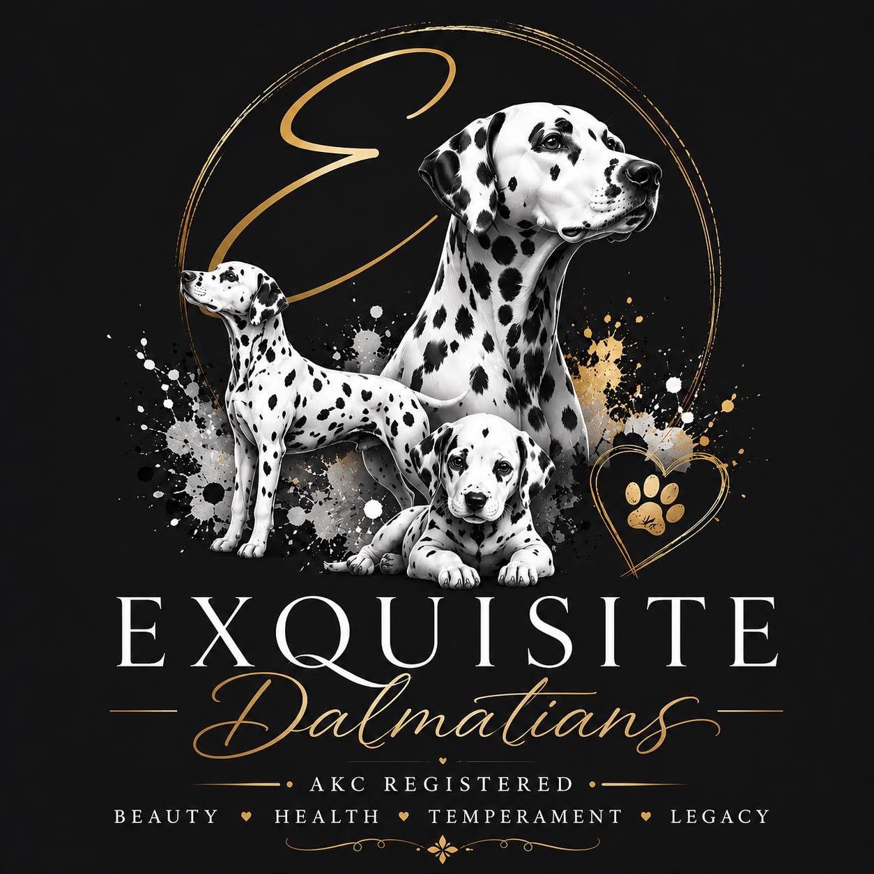 Exquisite Dalmatians logo