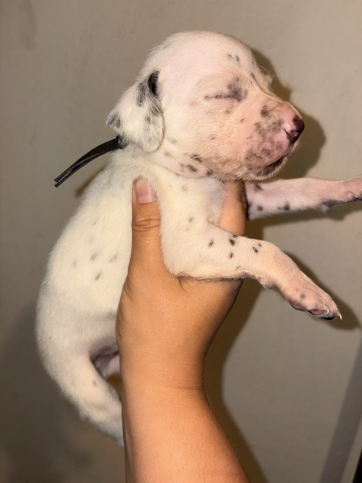 Wrath
